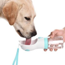 243951
